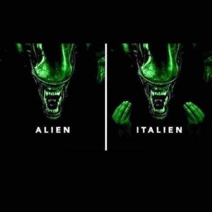462722175_943058130996794_1080594762769089183_n.jpg