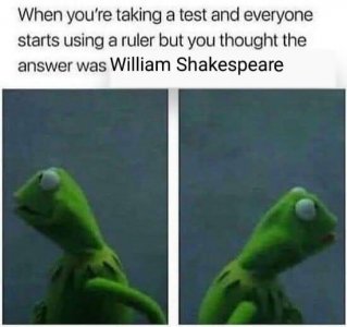 462230888_942369187919812_3706226044830188621_n.jpg