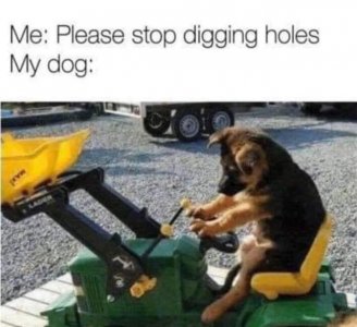 diggingholes.jpg