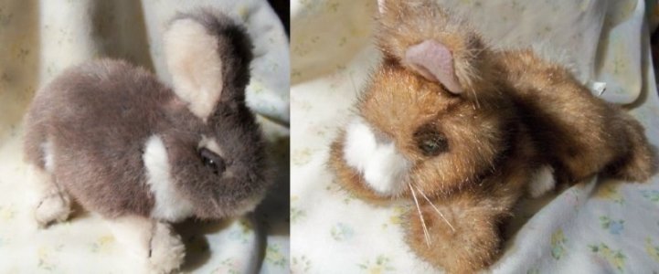 bunny dolls.jpg