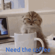 IMG_9124.gif