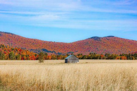 adirondacks1F.jpg