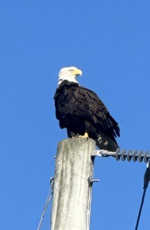 IMG_6480.jpeg