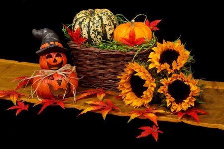 autumn-20461_1280.jpg