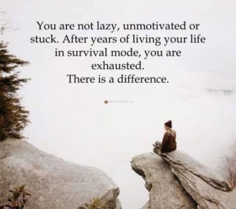 survival mode.jpg survival mode.jpg