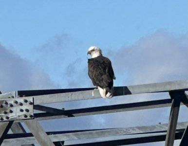 IMG_6499.jpeg