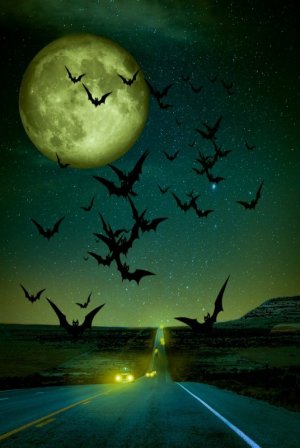 halloween-5106494_1280.jpg