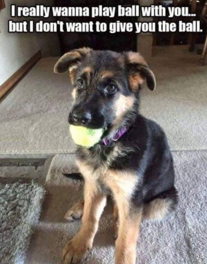 FB_IMG_1728656931614.jpg