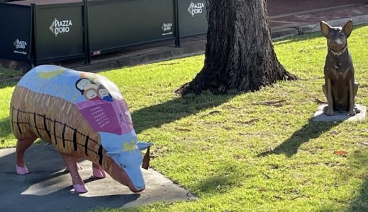 IMG_7370.jpeg