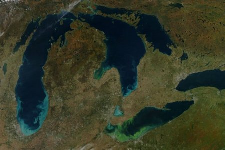 algae bloom.jpg