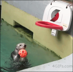 R.gif