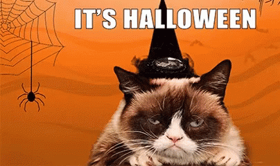 halloween-grumpy-cat.gif