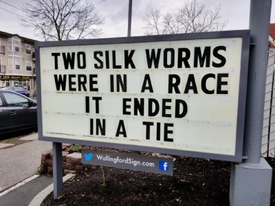 twosilkworms.jpg