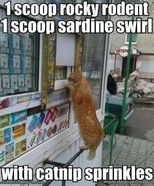 icecreamorder.jpg