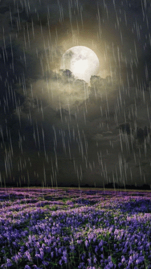43b7dbe7fc89fe23423835e9d803fc9d.gif