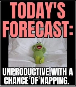 forcast.jpg