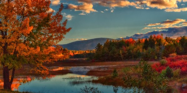 fall-autumn-colours.jpg