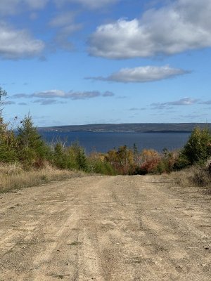 IMG_6526.jpeg
