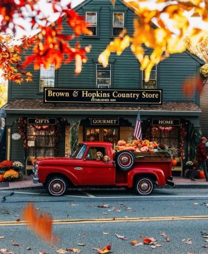 autumn2.jpg