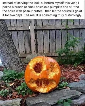 pumpkin.jpg