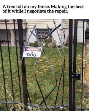 baddog.jpg