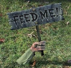 feed me.jpg