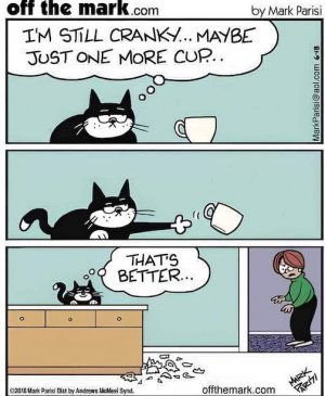 Another Cup.jpg