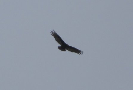 IMG_5503.JPG