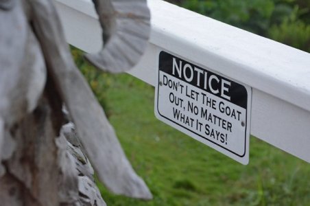 donotlookout.jpg