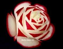 IMG_6544.jpeg