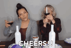 cheers-wine-drink-d95bwithydl40fy6.gif