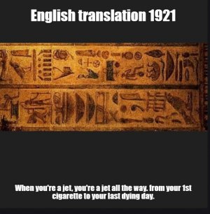 900.jpg