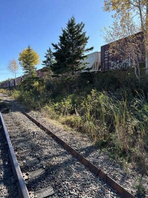 IMG_6555.jpeg