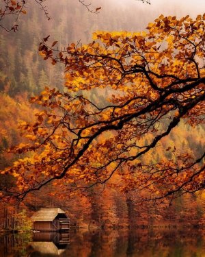 tumblr_d6b5d91b955fc05413c7d3d9d9b02f58_0682b994_1280.jpg
