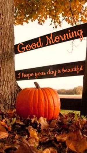 8b343f4b825a34c5105b9ca0dac324d4[1].jpg