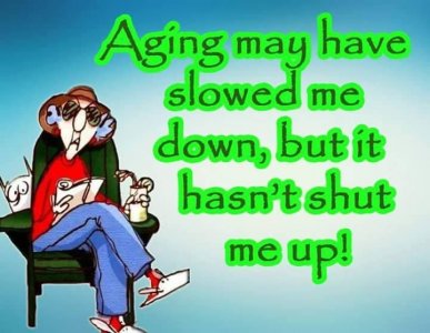 5b8548c3e6db8fe92f0794e2fc0de5aa.jpg