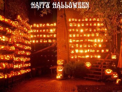 jack o lanterns2.jpg