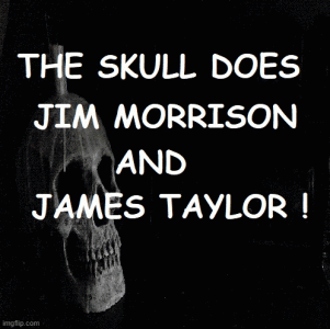 skull.gif