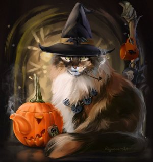 cat_hat0F.jpg