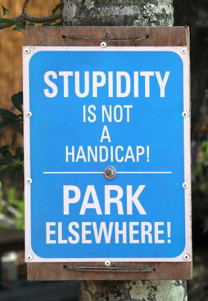 stupidityparking.jpg