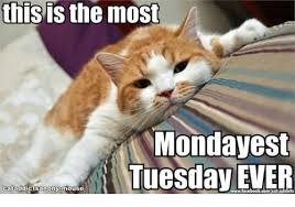 mondayesttuesday.jpg