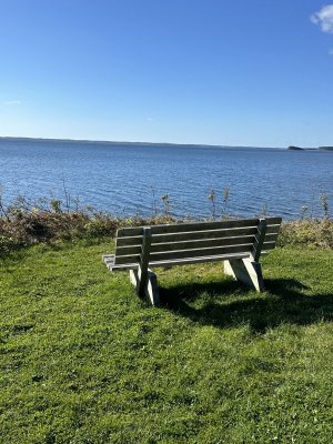 IMG_6663.jpeg