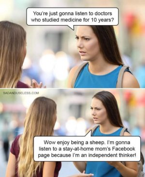 FB_IMG_1729219638380.jpg