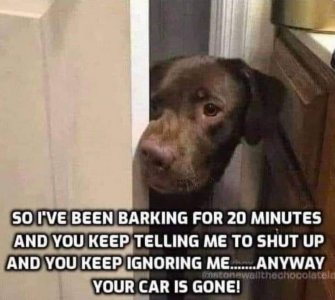 FB_IMG_1729481100635.jpg