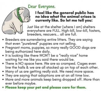 shelters.jpg