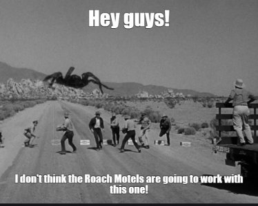 tarantula.jpg tarantula.jpg