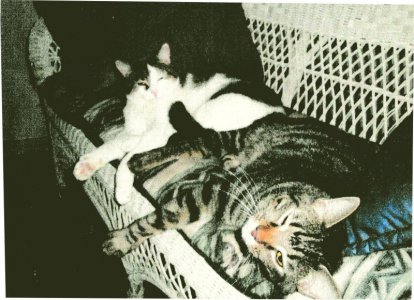 Indiana and Gizmo.jpg