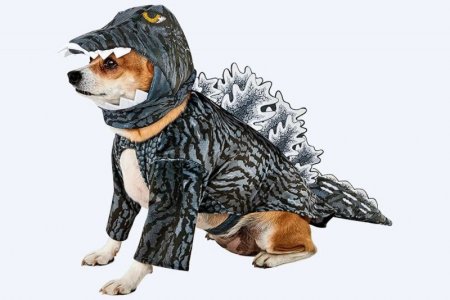 halldogdino.jpg