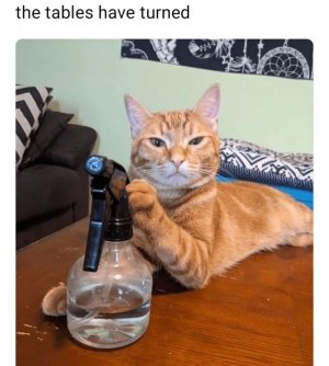 1000005821.jpg