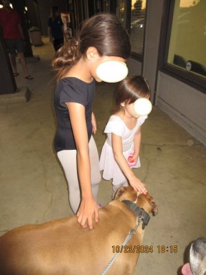 10-23-2024 girls pet Otto.jpg